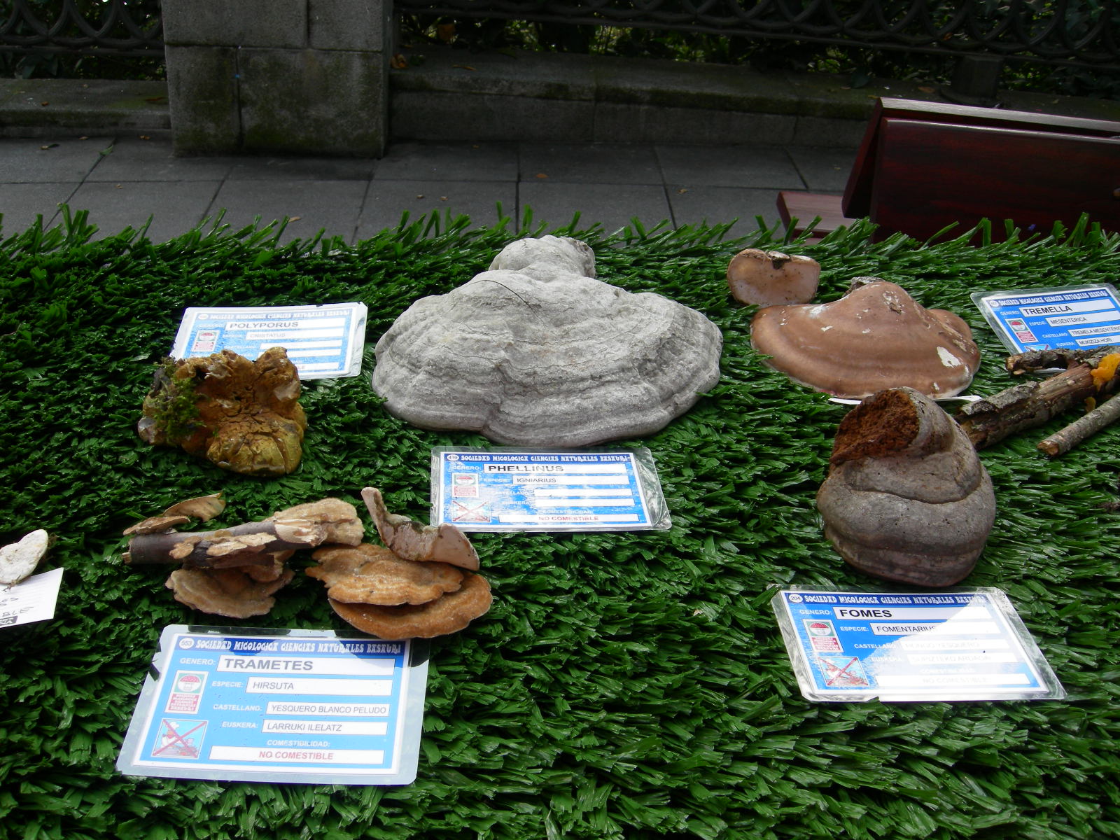 Oct2007-072.jpg