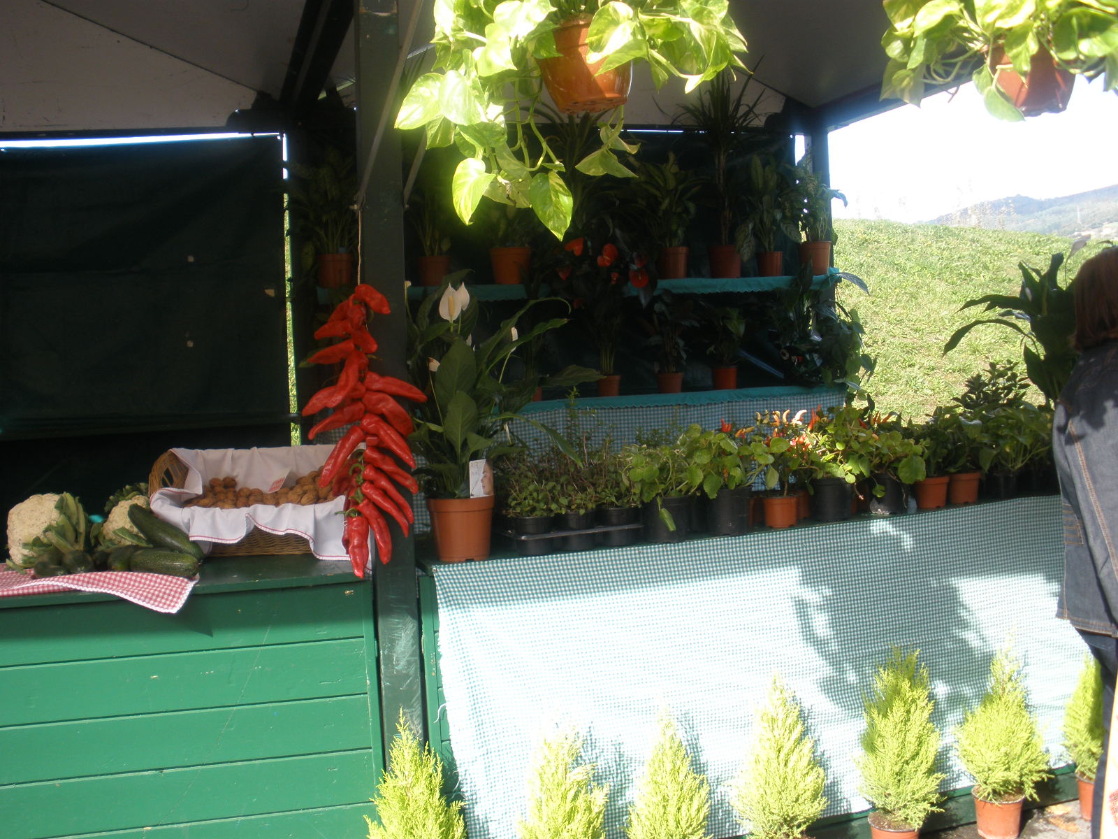 Oct2008-155.jpg
