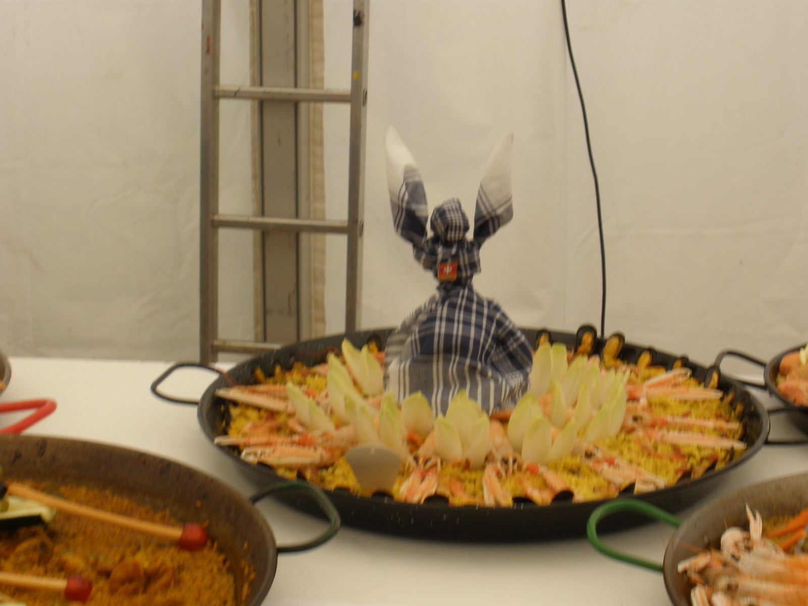 Oct2009-309.jpg