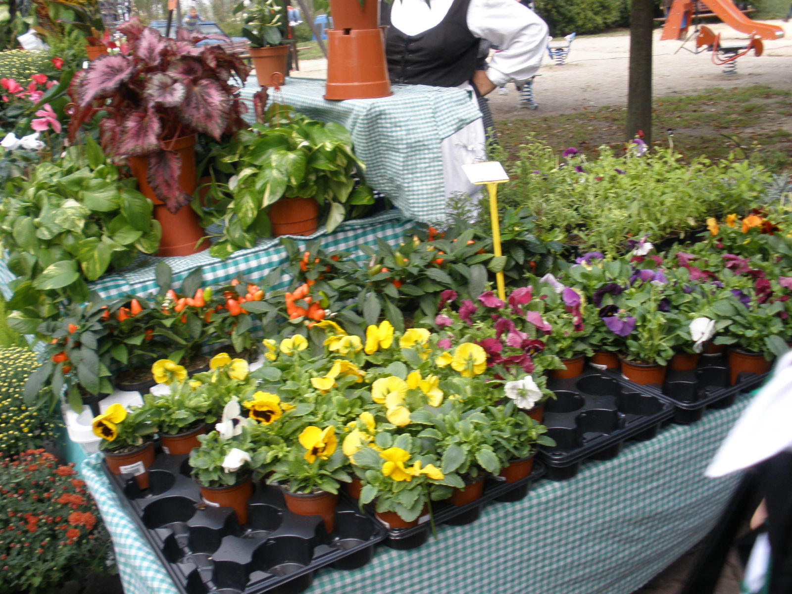 Oct2009-334.jpg