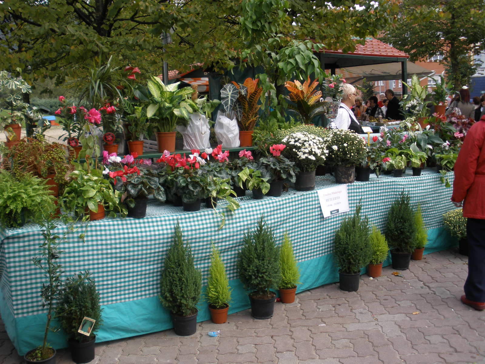 Oct2009-367.jpg