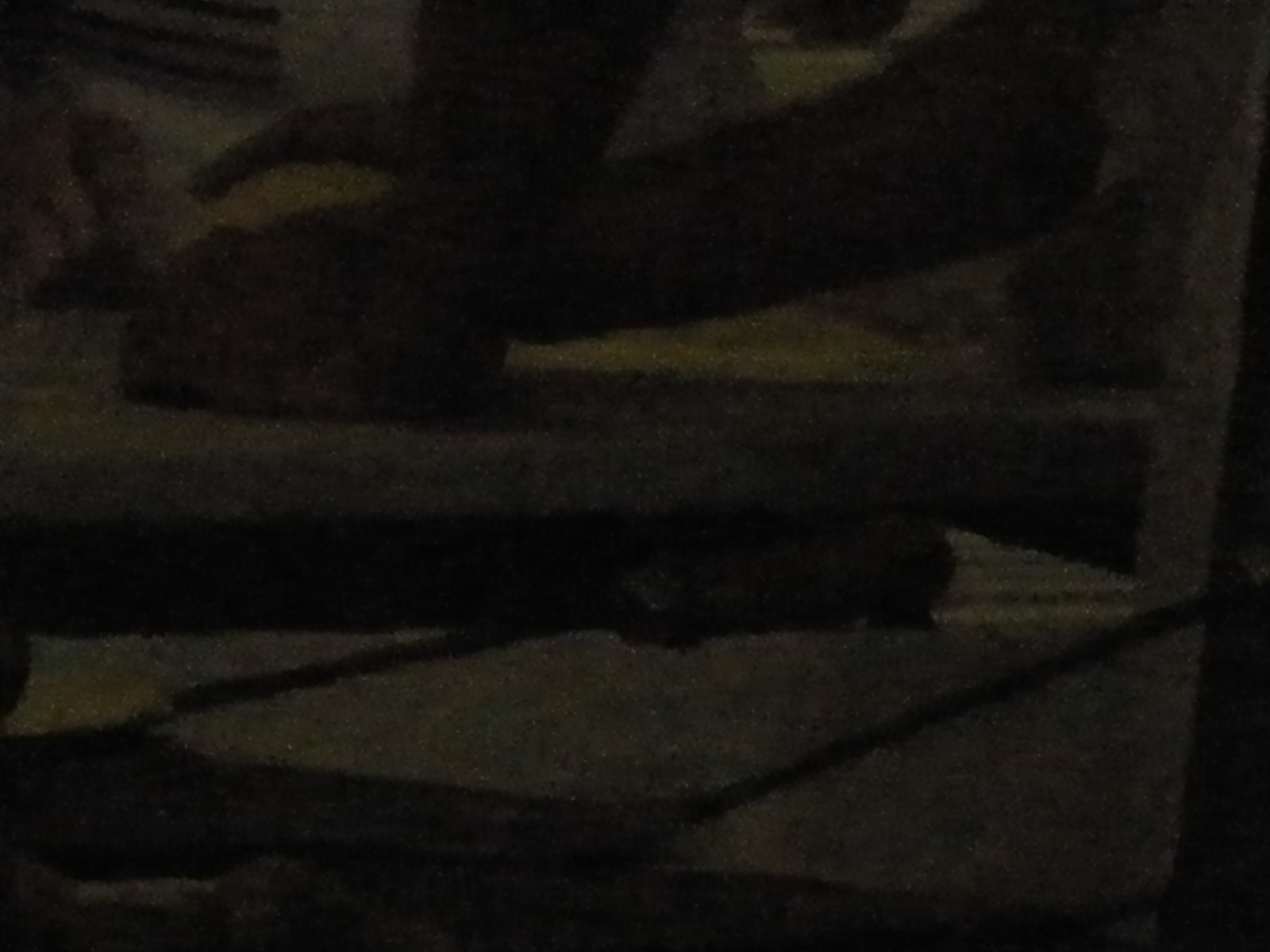 Oct2009-374.jpg