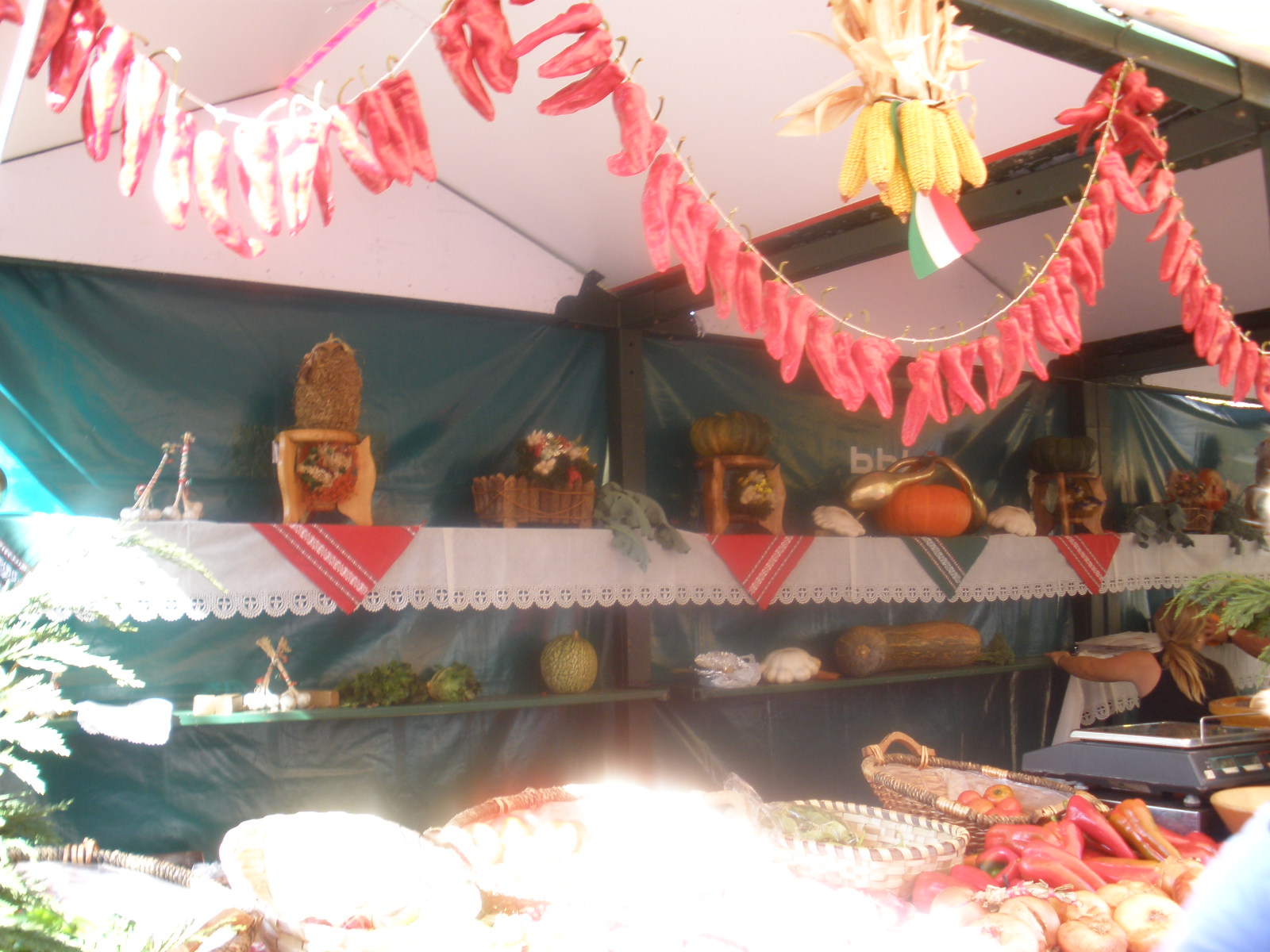 Oct2011-142.jpg